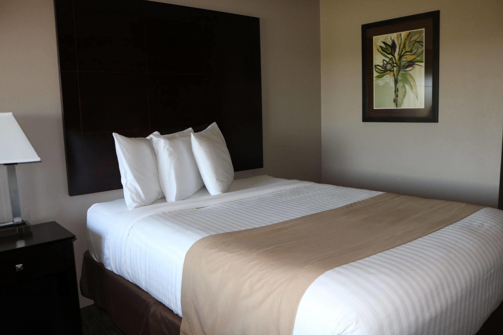 Qube Hotel - Polk City Buitenkant foto